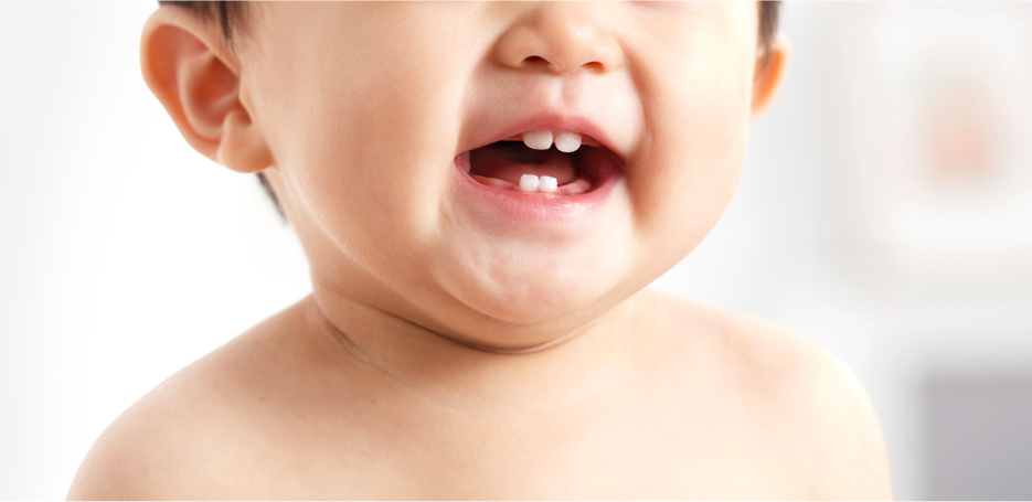 영유아 구강검진